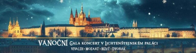 Prague: Christmas Gala Concert at Liechtenstein Palace - The Venue: Liechtenstein Palace