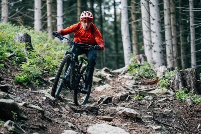 Prague Mountain Biking: Blast Through The Best Singletracks - The Value Proposition and Who Its For