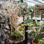 Prague: Papilonia Butterfly House - What to Expect at the Papilonia Butterfly House