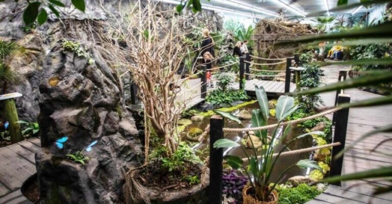 Prague: Papilonia Butterfly House - What to Expect at the Papilonia Butterfly House