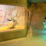 Prague: Prague Zoo Audio Guide with E-Ticket - Authentic Insights from Visitors