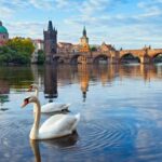 Prague: Scavenger Hunt Self-Guided Tour - What to Expect During the Tour