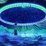 Prague: The World Of Jellyfish Entry Ticket w/ Drink - Is It Worth It?