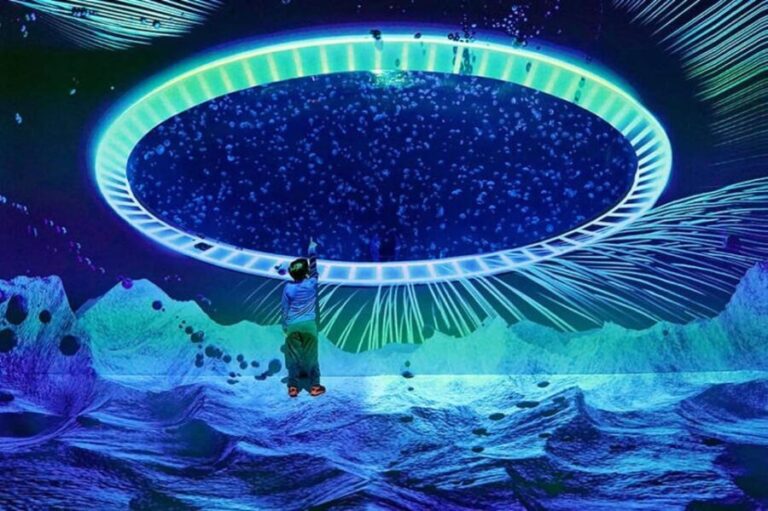 Prague: The World Of Jellyfish Entry Ticket w/ Drink - Is It Worth It?