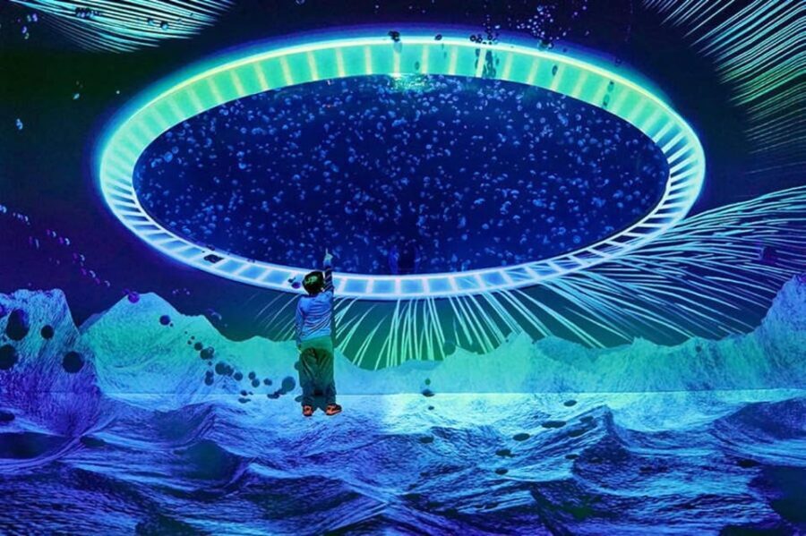 Prague: The World Of Jellyfish Entry Ticket w/ Drink - Is It Worth It?