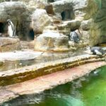 Prague Zoo Online Audio Guide (No ticket) - Final Thoughts: Is It Worth It?