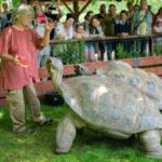 Prague Zoo: Skip-the-Line Entry Ticket - Exploring the Park: Highlights & Must-Sees