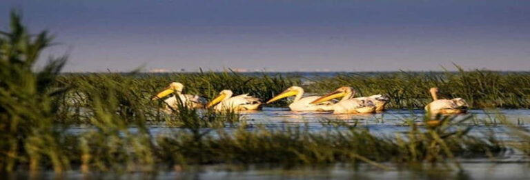 PREMIUM TOUR SMALL GROUP From Bucharest to the Danube Delta - Why This Tour Offers Great Value
