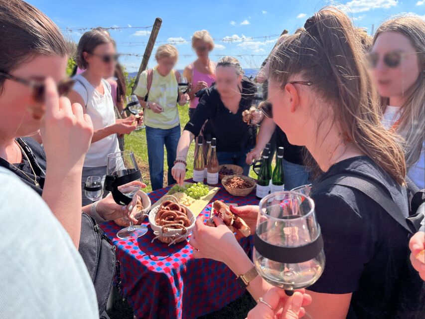 Premium wine hike Stuttgart with games and winemaker's snack - Why You Should Consider This Tour