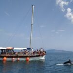 Preveza: Dolphin Watching Cruise with Lunch and Drinks - Authentic Experience from Reviews