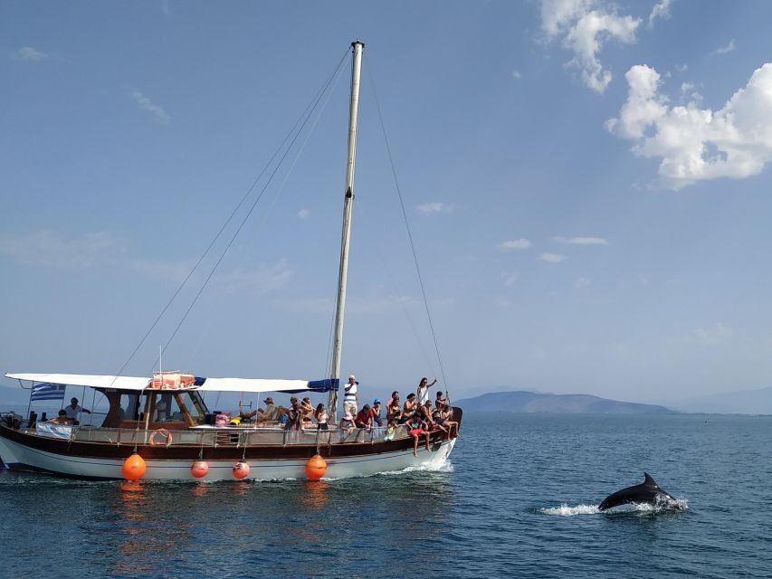 Preveza: Dolphin Watching Cruise with Lunch and Drinks - Authentic Experience from Reviews