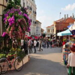 Princes Island Full Day Tour - What Makes This Tour Stand Out?