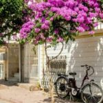 Prince's Island Group Tour - What’s Included and What’s Not