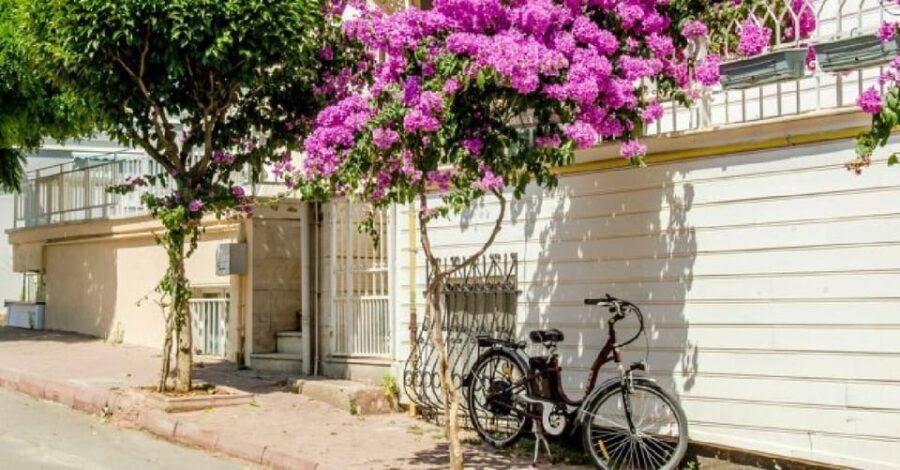 Prince's Island Group Tour - What’s Included and What’s Not