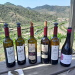 Priorat tour to 3 small wineries and hotel pick-up - Who Will Love This Tour?