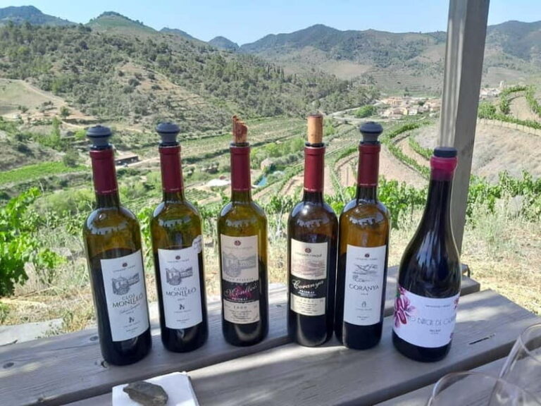 Priorat tour to 3 small wineries and hotel pick-up - Who Will Love This Tour?