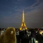 Private 2-3 hours Montmartre walking tour - Timeless charm - The Experience of a Private Guided Walk