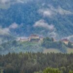 Private all day car trip from Bern to Gruyeres & Fribourg - Practical Tips for Your Day Trip