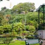 Private Angra do Heroísmo: Walking CityTour with Tasting - Why Choose This Tour?