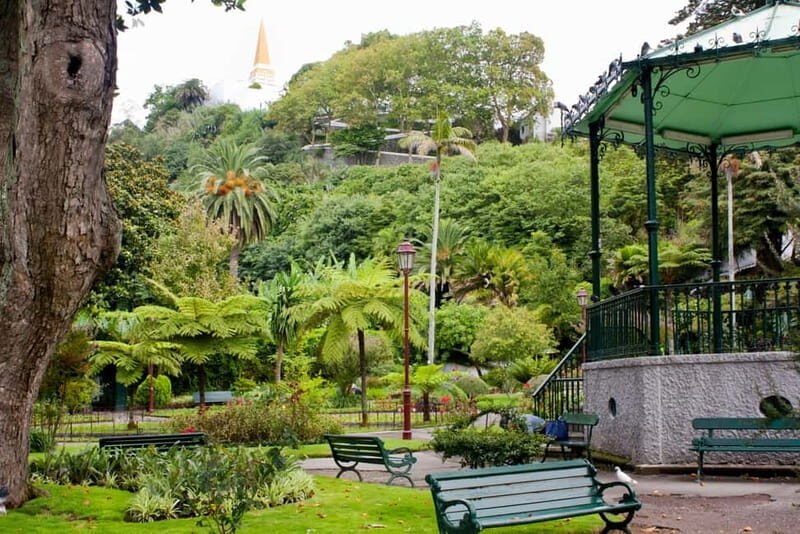 Private Angra do Heroísmo: Walking CityTour with Tasting - Why Choose This Tour?