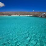 Private Boat Delos and Rineia Cruise Tour - Who Will Love This Tour?