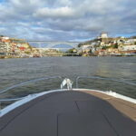 Private Boat Tour in Porto with Portuguese Tapas Option - The Food and Drink Experience