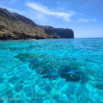 Private Boat Trip Playa de Palma Marine Reserve - Who should book this tour?