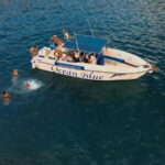 Private Charter Private Charter to see the whales - 3 Hours - The Practicalities: What You Need to Know