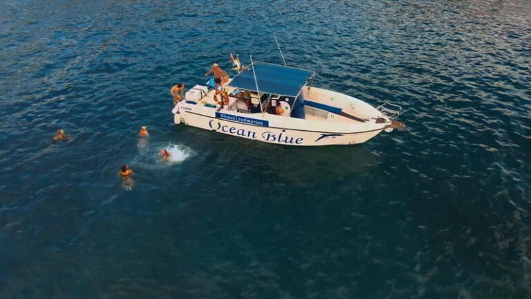 Private Charter Private Charter to see the whales - 3 Hours - The Practicalities: What You Need to Know