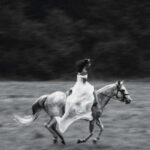 Private Chianti Horseback Riding Wine Tasting + Lunch - The Value of This Experience
