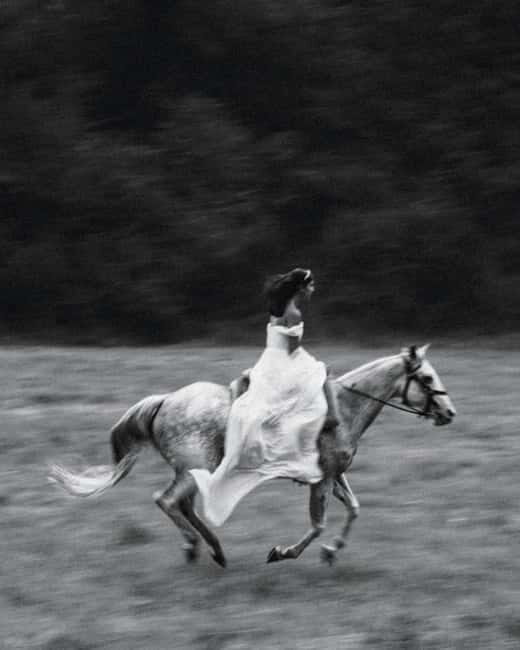 Private Chianti Horseback Riding Wine Tasting + Lunch - The Value of This Experience