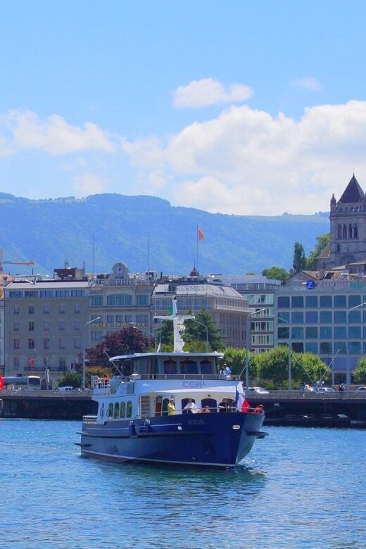 Private City Tour of Geneva - Transport, Timing, & Group Dynamics
