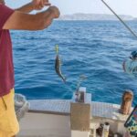 Private Cruise  Half Day Pollonia Polyaigos - What the Reviews Reveal