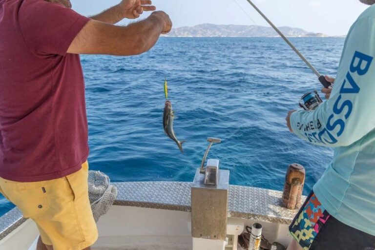 Private Cruise  Half Day Pollonia Polyaigos - What the Reviews Reveal