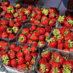 Private Cycle Tour in Helsinki, 4h - The Itinerary: What to Expect