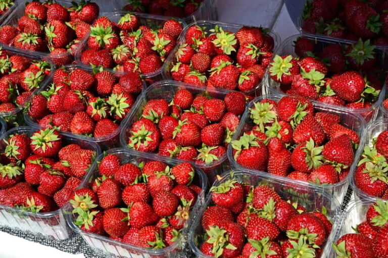 Private Cycle Tour in Helsinki, 4h - The Itinerary: What to Expect