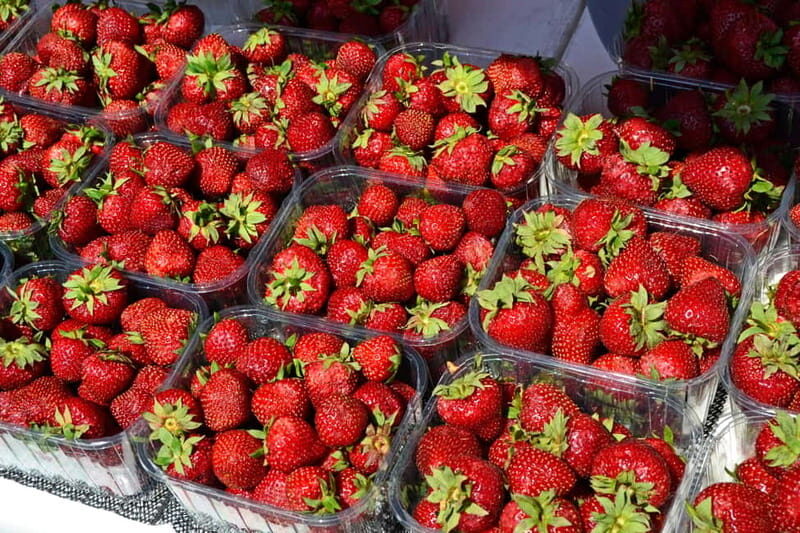 Private Cycle Tour in Helsinki, 4h - The Itinerary: What to Expect