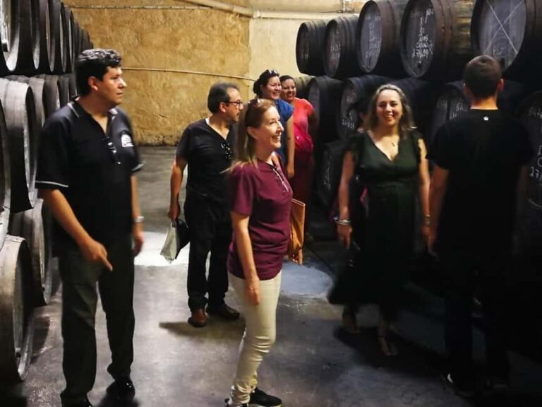 Private day tour of Olive Oil , Salt Flats and Winery - In-Depth Analysis of the Experience