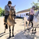 Private Day Tour Tagus River, olive oil, winery and horses - An In-Depth Look at the Experience