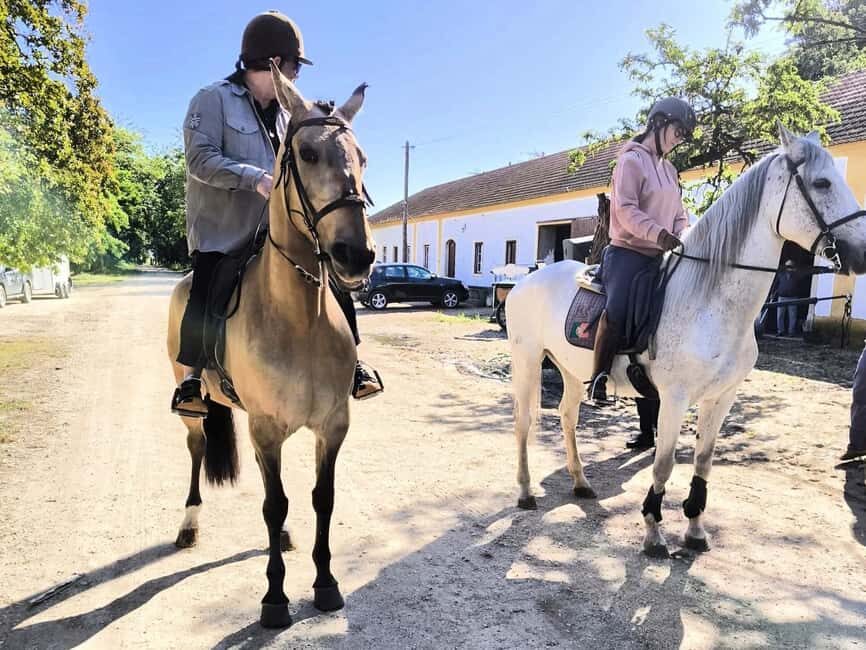 Private Day Tour Tagus River, olive oil, winery and horses - An In-Depth Look at the Experience