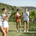 Private day trip: Basel to Alsace Wine Region, local driver - The Journey Begins: From Basel to the Alsace Region