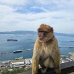 Private Day Trip: Gibraltar & (Tangier) Morocco from Seville - The Value of This Tour