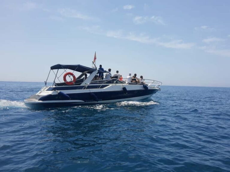 PRIVATE DOLPHIN WATCHING SUNSEEKER WITH DRINKS ON FUENGIROLA - The Scenic Coastline and Marine Wildlife