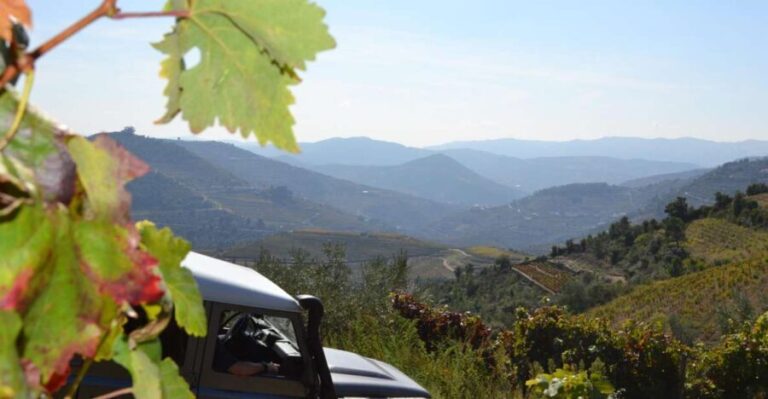 Private Douro Valley 4WD Tour with Wine Tasting and Picnic - Final Thoughts