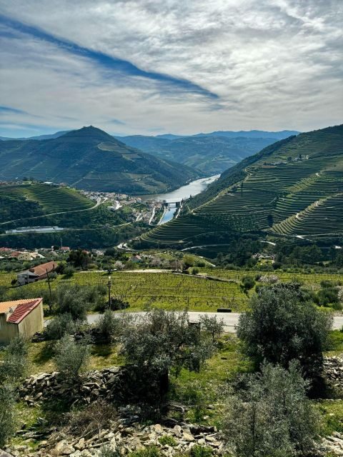 Private Douro Valley Full Day Tour - Authentic Experiences and Insider Tips