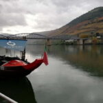 Private Douro Wine Experience - Full Day in the Douro Valley - What to Expect and Practical Tips
