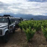 Private Exclusive Manousakis Winery and Vineyard Tour - Analyzing the Value