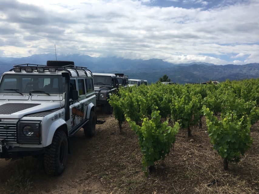 Private Exclusive Manousakis Winery and Vineyard Tour - Analyzing the Value