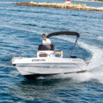 Private Family Dolphin Tour in Pore - Why This Tour Offers Great Value