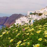 Private Famous Sights Tour with Local Guide in Santorini - Firostefani: The Viewpoint of Fira’s Crown